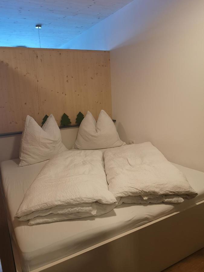 Apartment Almwiesen Mellau Buitenkant foto